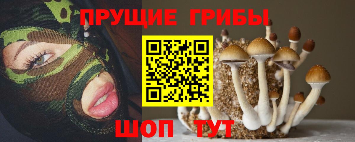 Кропоткин  Псилоцибиновые грибы мухоморы  Вход с VPN  Галлюциногенные грибы Cubensis 