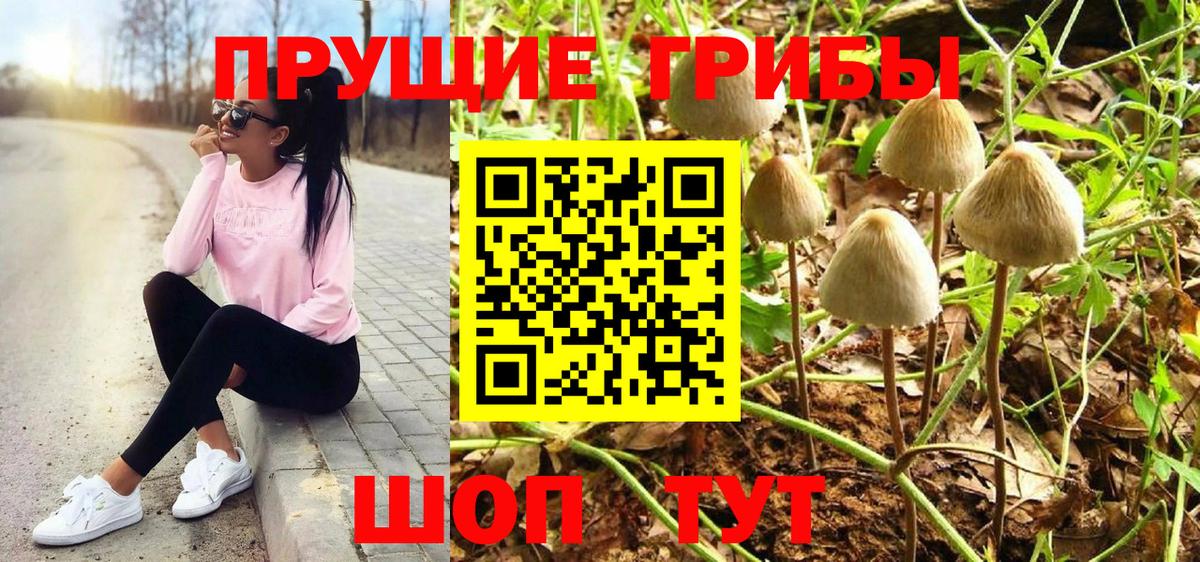 Псилоцибиновые грибы мицелий Кропоткин